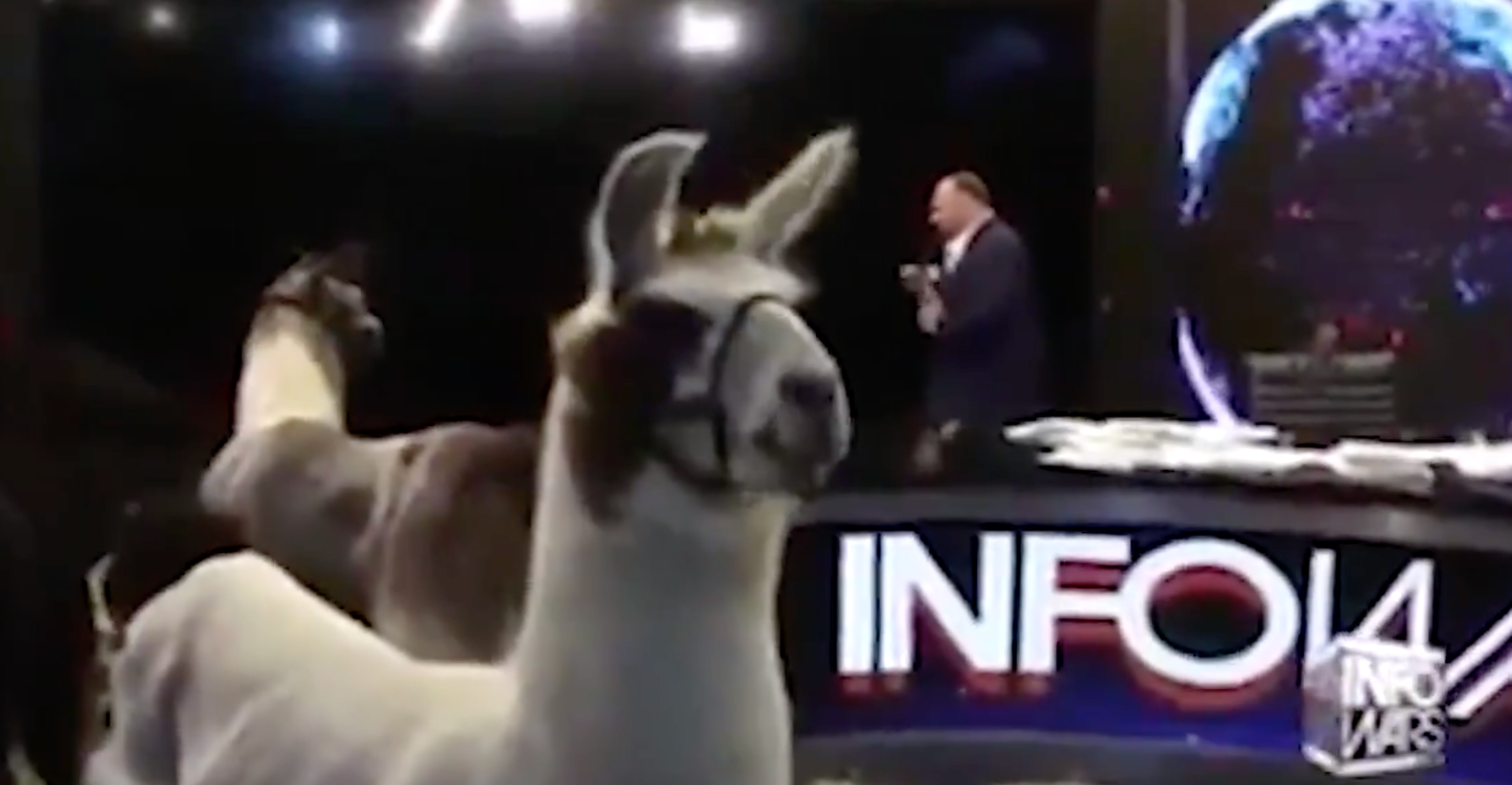 alex jones llamas