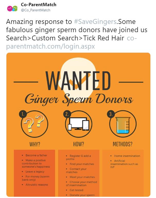 save gingers