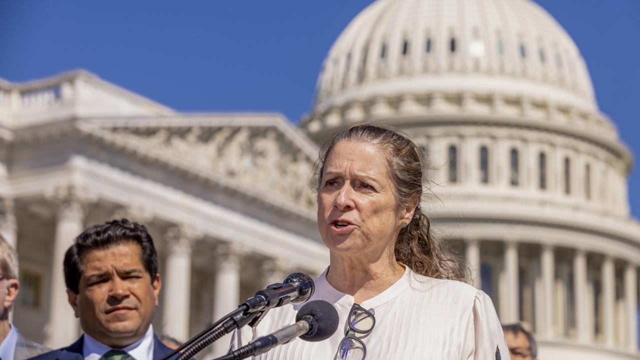 What Is Abigail Disney’s Net Worth? Details on the Activist