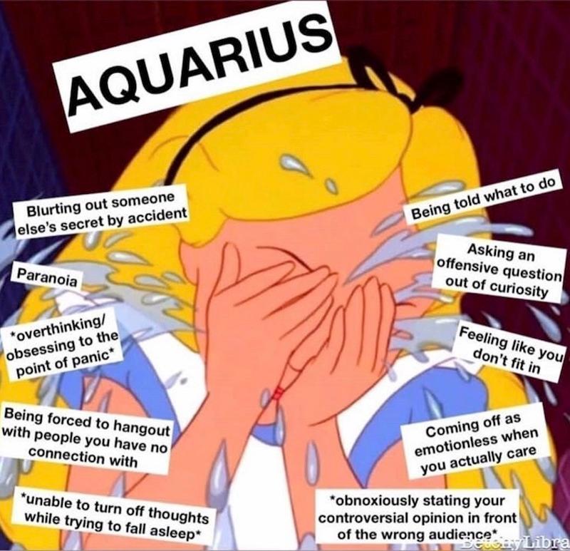 Funny Aquarius Season Memes to Share With Friends