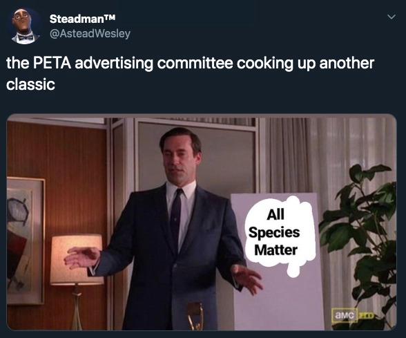 6-peta-ad-1580747208578.jpg