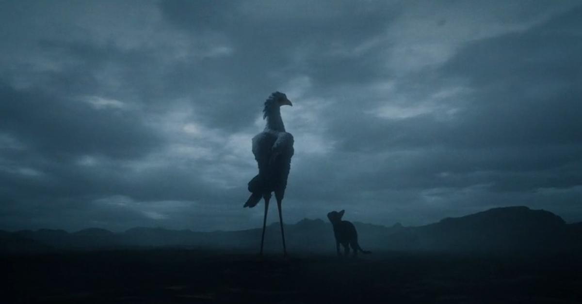 'Flow' movie still featuring the secretarybird and cat