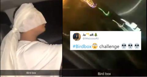 birdbox challenge cover