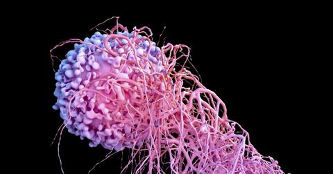 cancer-4-1548865954824-1548865956647.jpg