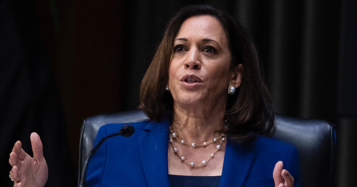 Does Kamala Harris Have Children? Biden's VP Pick Goes by 