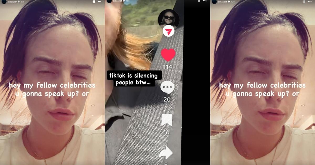 Billie Eilish posted on her Instagram stories about TikTok censoring her brother's videos criticizing ICE.