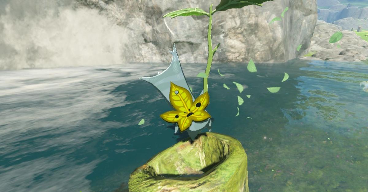 What happens when you find all korok seeds totk answered