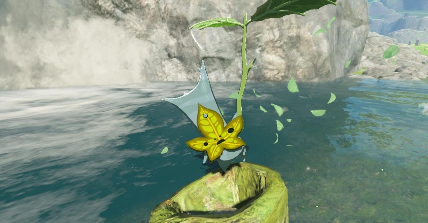 What happens when you find all korok seeds totk answered