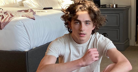 timothee chalamet batman