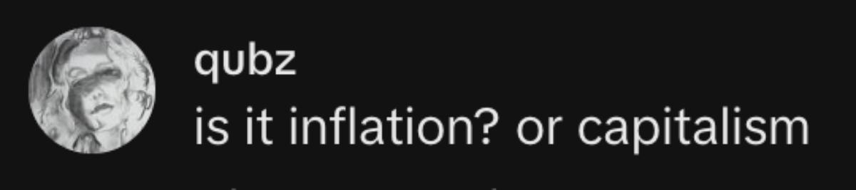 A commenter asking whether higher prices in 2063 would be inflation or capitalism