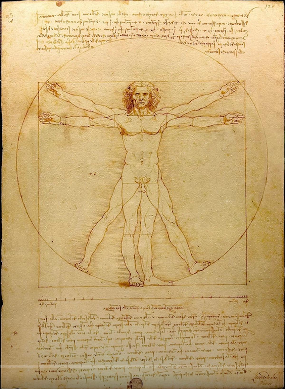 Vitruvian Man