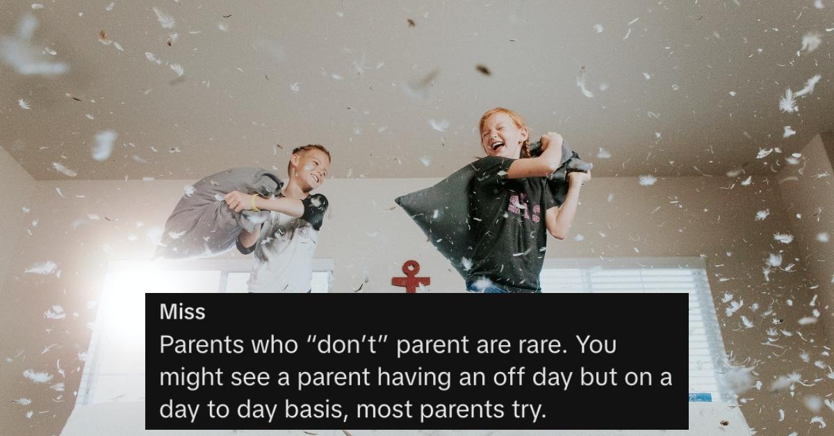 Screenshot of comment under Generation Alpha is unsupervised TikTok over photo of two kids having a pillow fight.