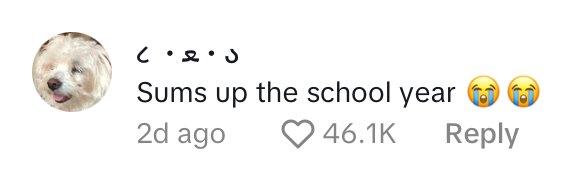 Comment on TikTok of student who claims their school used ChatGPT in yearbook.