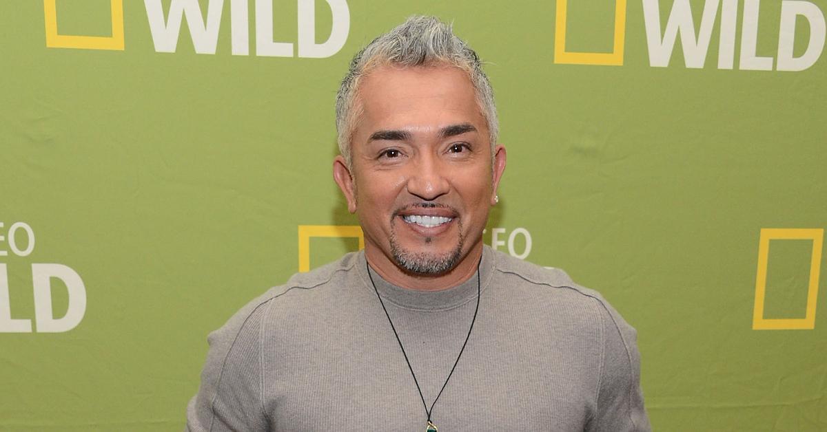 cesar millan