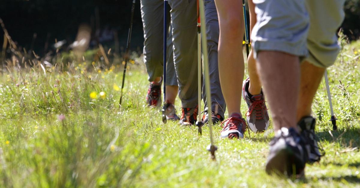 Two couples walking with hiking poles, low section - stock photo