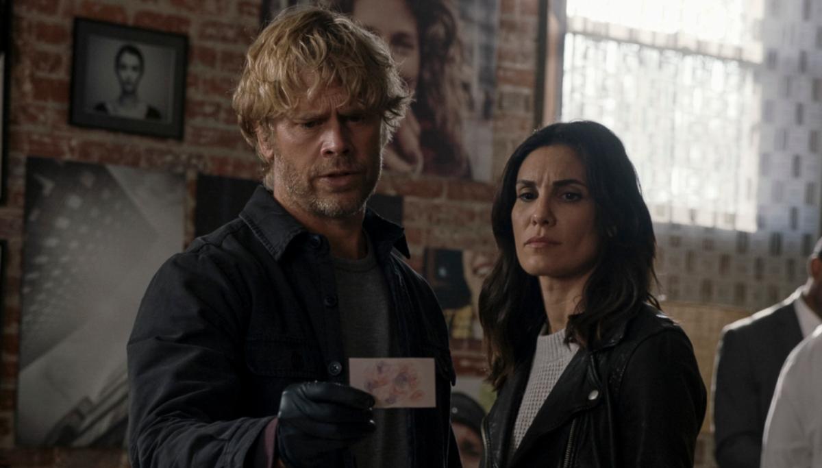 Eric Christian Olsen and Daniela Ruah