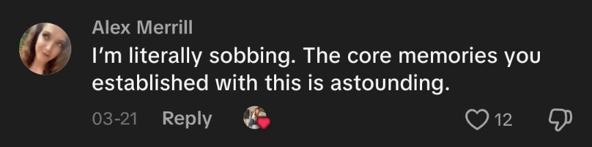 Comment from the Disney cruise TikTok.