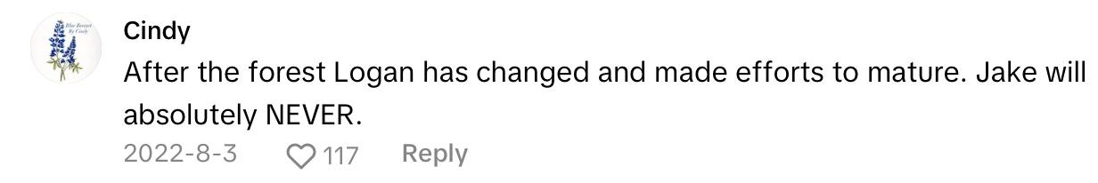 A comment on a TikTok listing the top reasons why people hate Jake Paul.