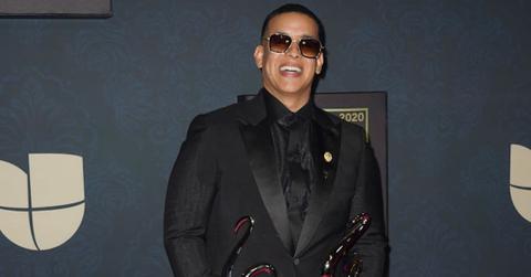 daddy yankee live concert