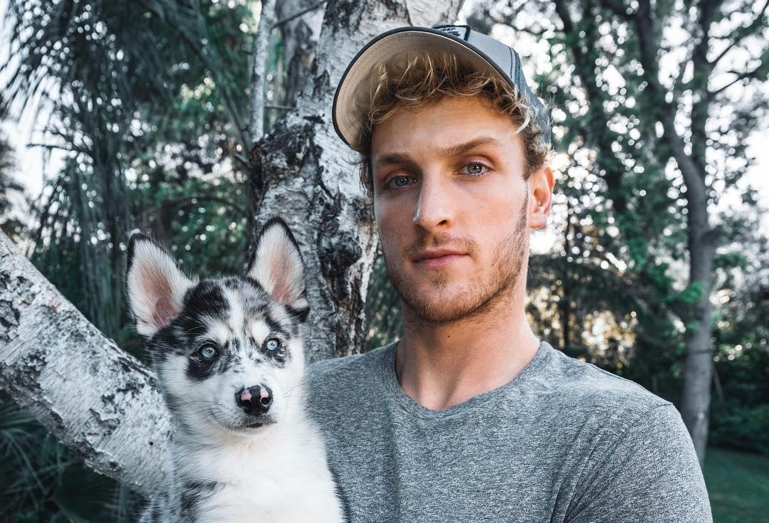 logan paul husky