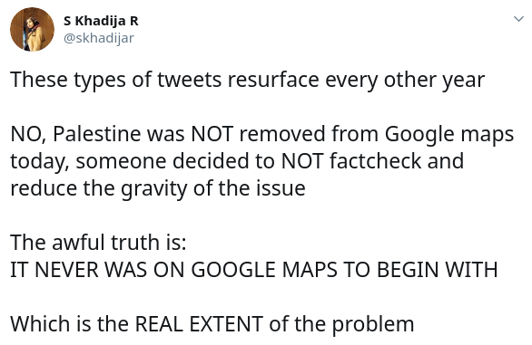 why was google maps removed palestine