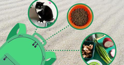 dw jazmine rogers desert island