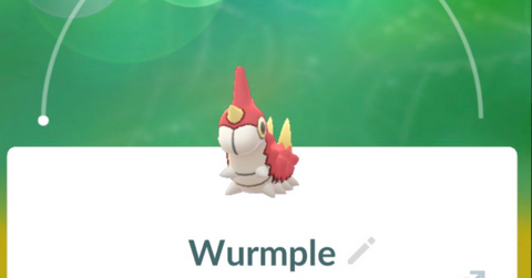Wurmple in 'Pokémon GO'
