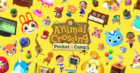 pocket camp