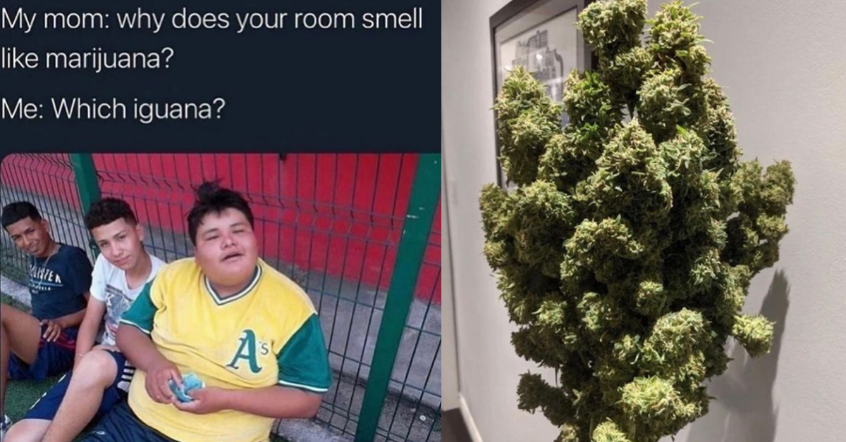 What Does the Leaf Emoji Mean on TikTok? Here's a Breakdown