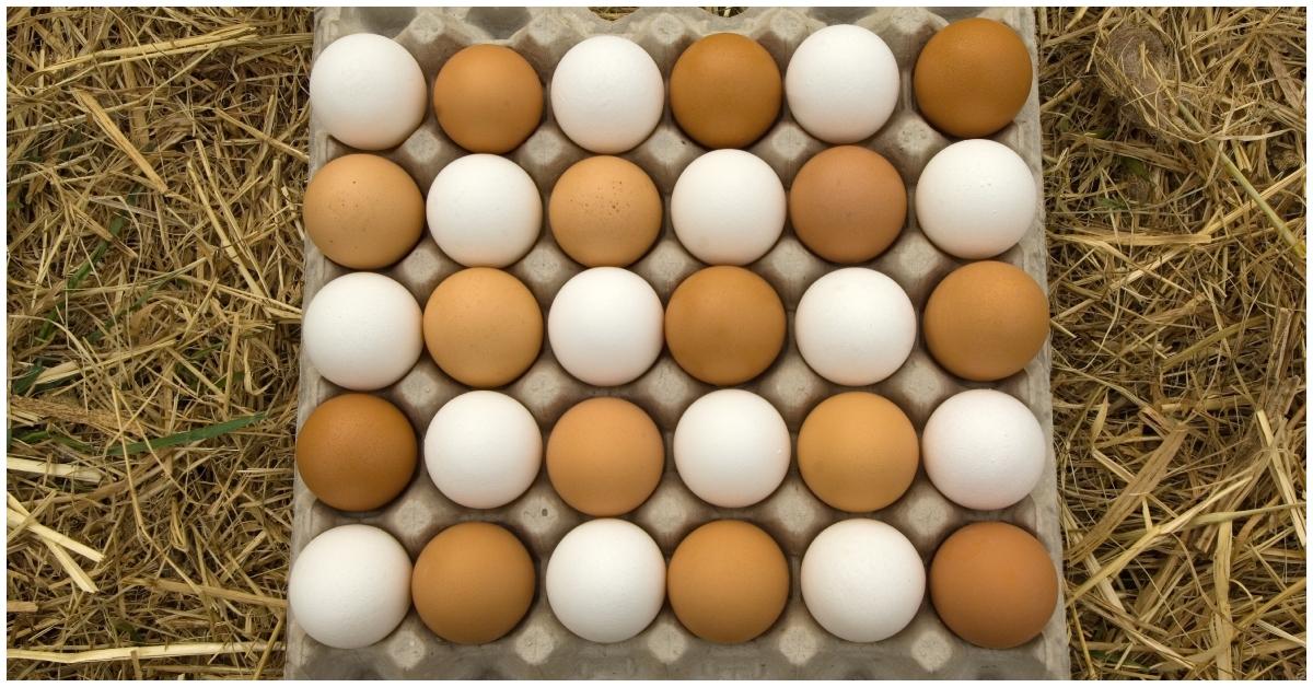 A carton of white and brown eggs