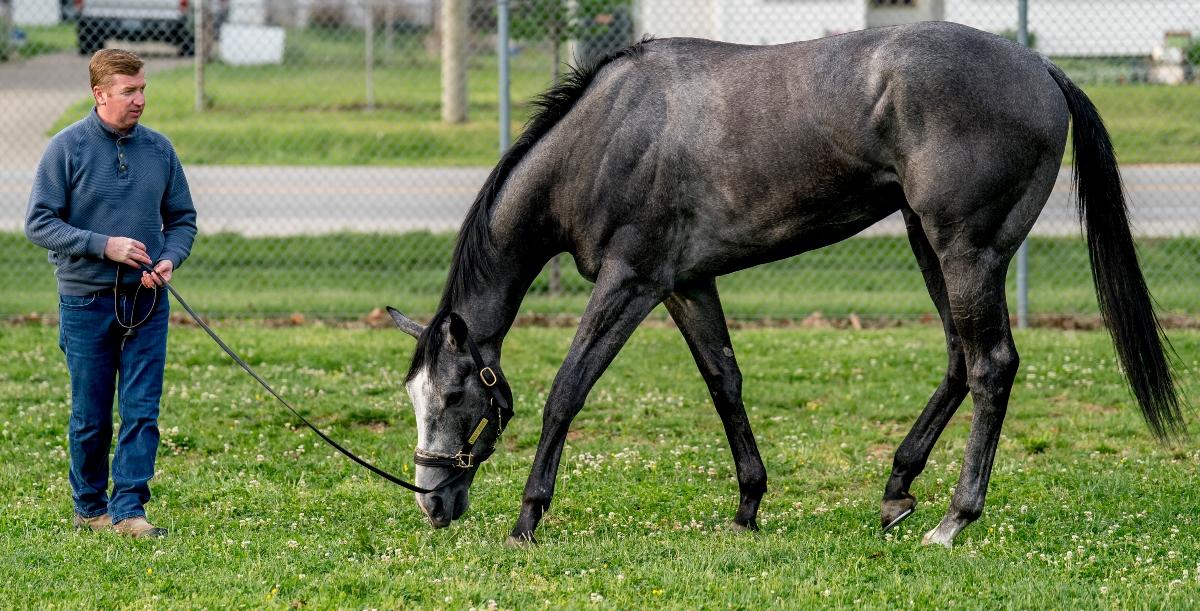 Great White training for the Kentucky Derby.