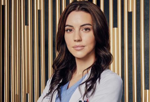 Meet 'Grey's Anatomy's New Season 19 Interns