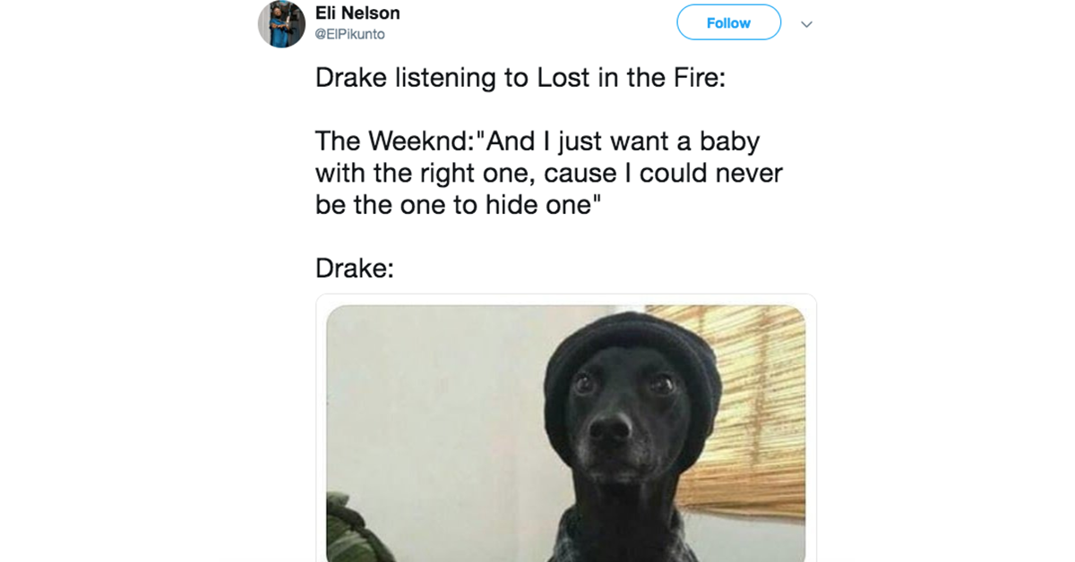 lost in fire twitter