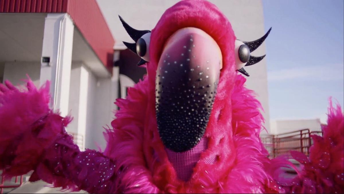 Who Is the Flamingo on 'The Masked Singer' Season 2? Spoilers!