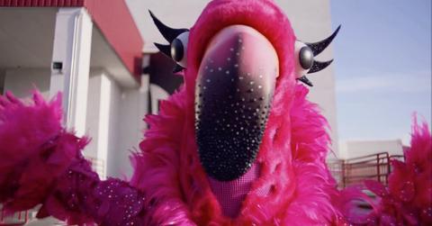 who is flamingo masked singer