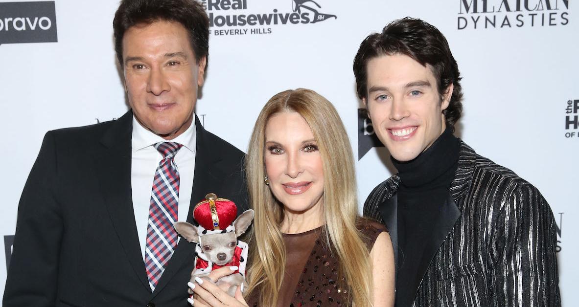 bessudo family mexico net worth - Ilustrasi 3