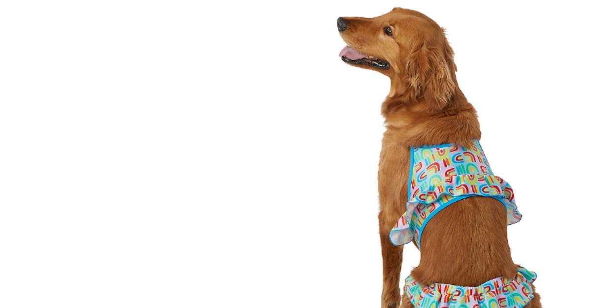 You Are Loved® Pride Dog Bikini by PetSmart