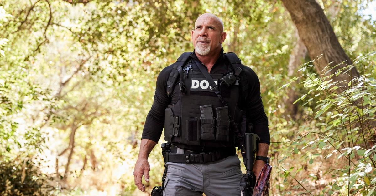 Bill Goldberg as DOJ Agent Lance Hamilton in 'NCIS: LA'