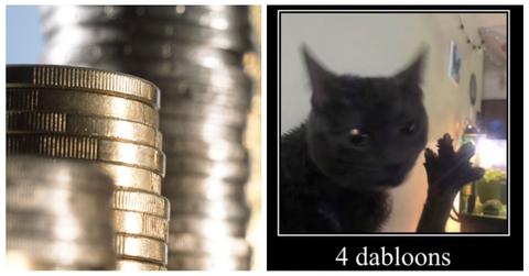 Doubloons on TikTik and cat