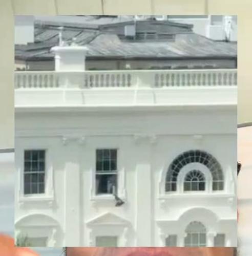 What Were Black Garbage Bags Thrown From the White House?