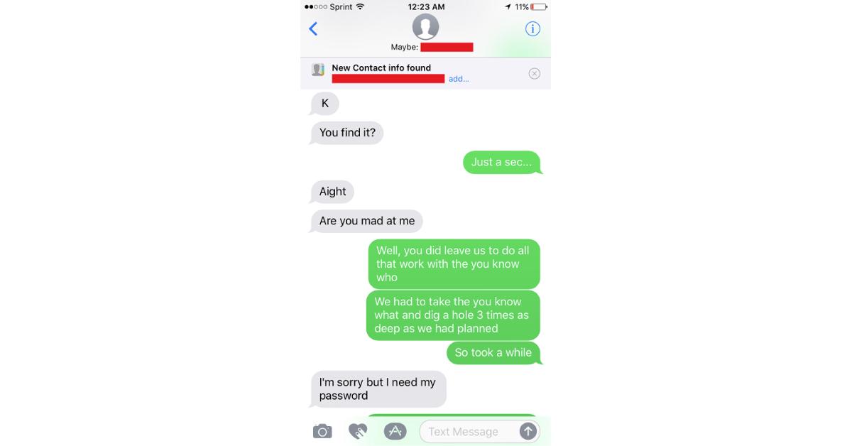 brother sister phone thief troll