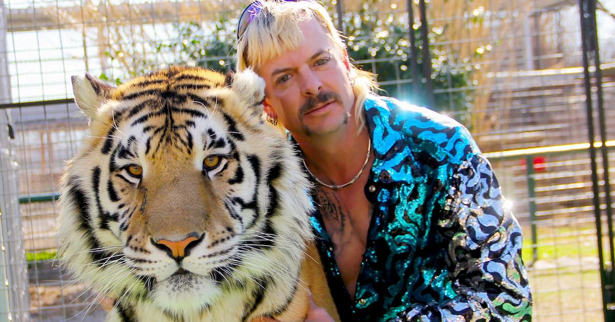 what happened to joe exotic cats