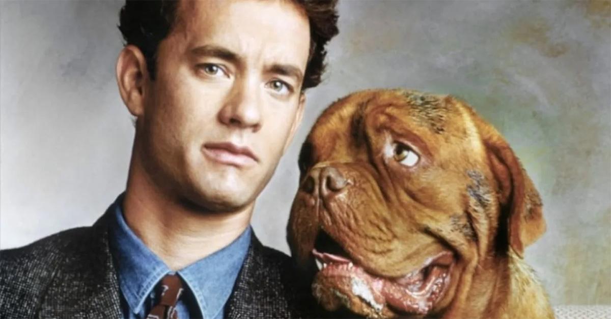 Tom Hanks with a dog in Turner & Hooch. 