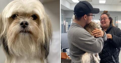 A woman shared a picture of her husband's family finding their lost dog