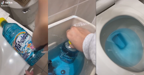 tiktok toilet hack