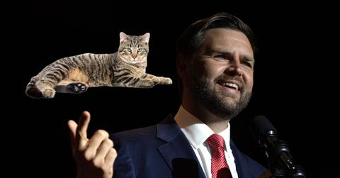 jd vance cat lady