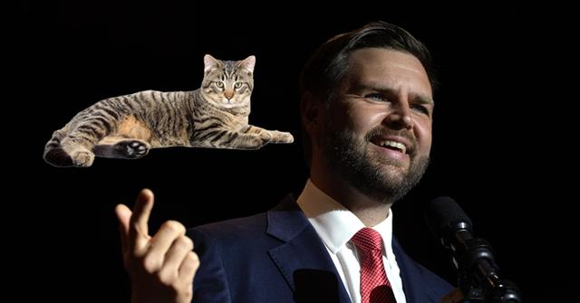 7 Hilarious Childless Cat Lady Memes Courtesy Of J.d. Vance