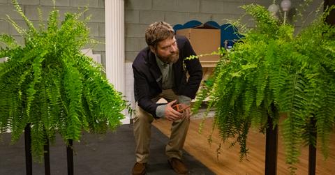 is between two ferns staged