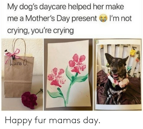happy-dog-mom-day-meme-10-1557500414722.png
