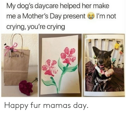 happy dog mom day meme